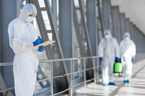 Best Real Estate Mold Inspection  in Mount Hermon, CA