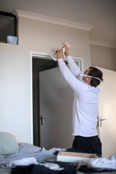 Trusted Mount Hermon, CA Mold Removal Experts