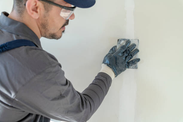 Best Commercial Mold Inspection  in Mount Hermon, CA