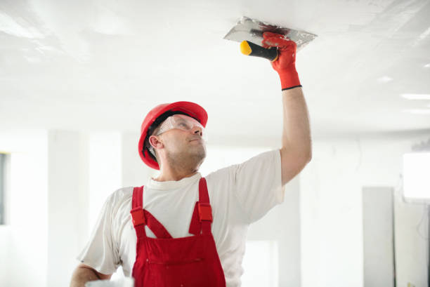 Mold Remediation for Vacation Homes in Mount Hermon, CA