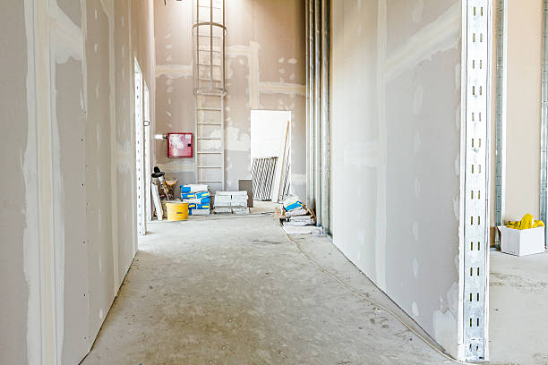 Best Basement Mold Removal  in Mount Hermon, CA